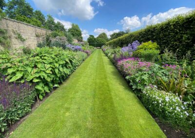 Lawns Matter – Lawn Care Oxfordshire